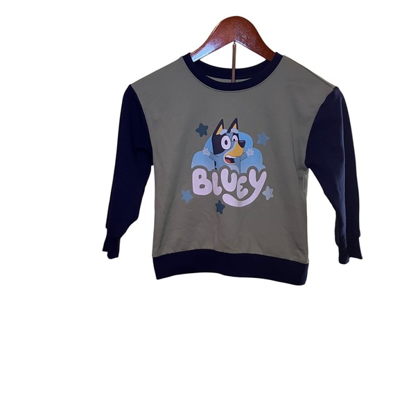 Bluey Toddler Boy's Green & Navy Long Sleeve Graphic Sweatshirt 5T Cartoon Dog - Picture 1 of 5